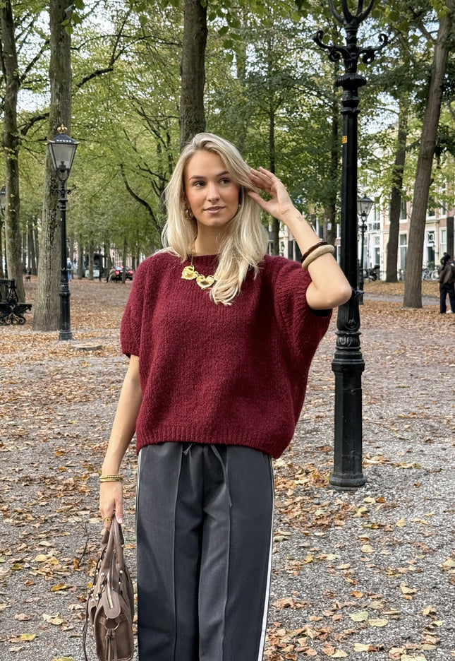 Famous Online Store Trui Suus Bordeaux