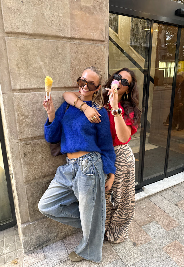 Famous Online Store Trui Veerle blauw