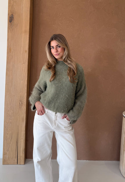 Famous Online Store Trui Veerle groen