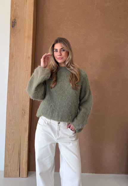 Famous Online Store Trui Veerle groen