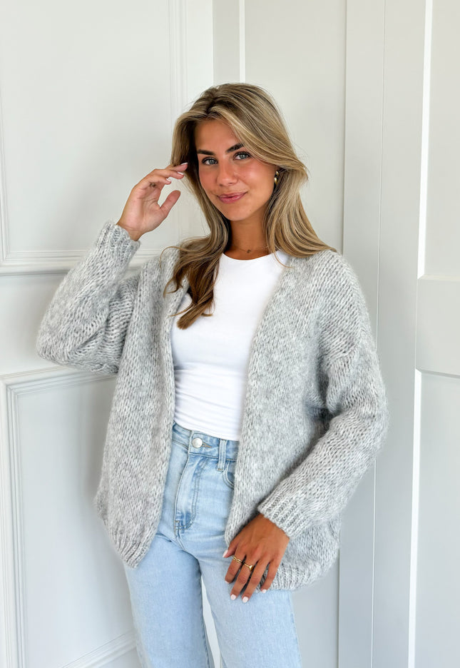 Famous Online Store Vest Chiara grijs